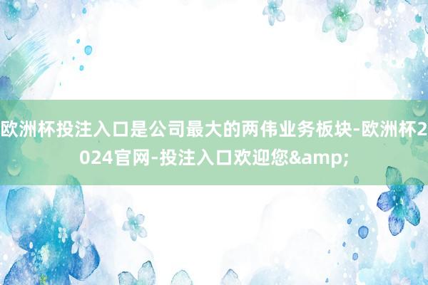 欧洲杯投注入口是公司最大的两伟业务板块-欧洲杯2024官网-投注入口欢迎您&