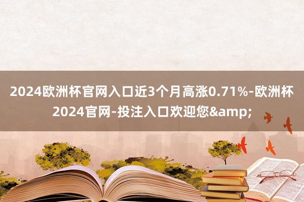 2024欧洲杯官网入口近3个月高涨0.71%-欧洲杯2024官网-投注入口欢迎您&