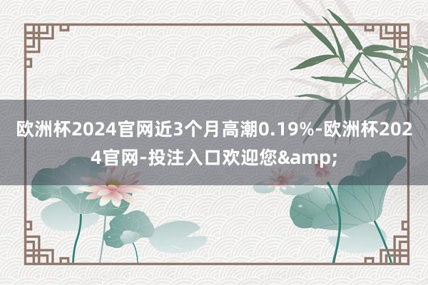 欧洲杯2024官网近3个月高潮0.19%-欧洲杯2024官网-投注入口欢迎您&
