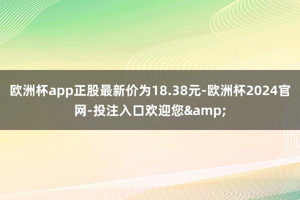 欧洲杯app正股最新价为18.38元-欧洲杯2024官网-投注入口欢迎您&