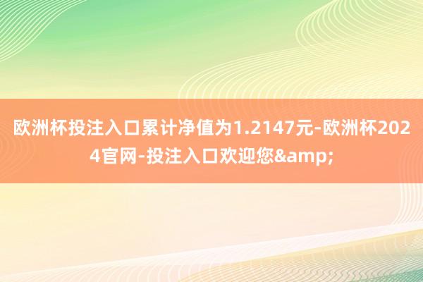 欧洲杯投注入口累计净值为1.2147元-欧洲杯2024官网-投注入口欢迎您&