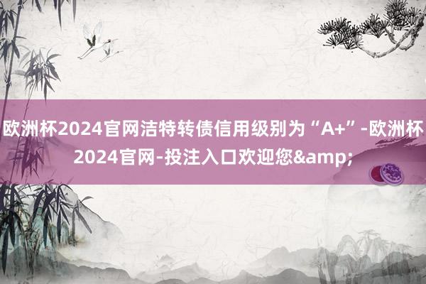 欧洲杯2024官网洁特转债信用级别为“A+”-欧洲杯2024官网-投注入口欢迎您&