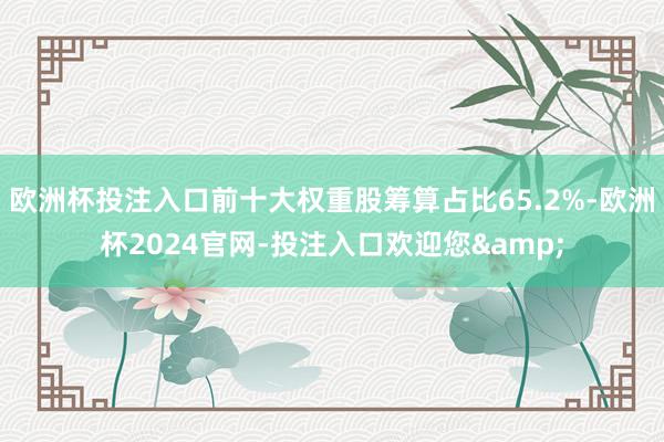 欧洲杯投注入口前十大权重股筹算占比65.2%-欧洲杯2024官网-投注入口欢迎您&