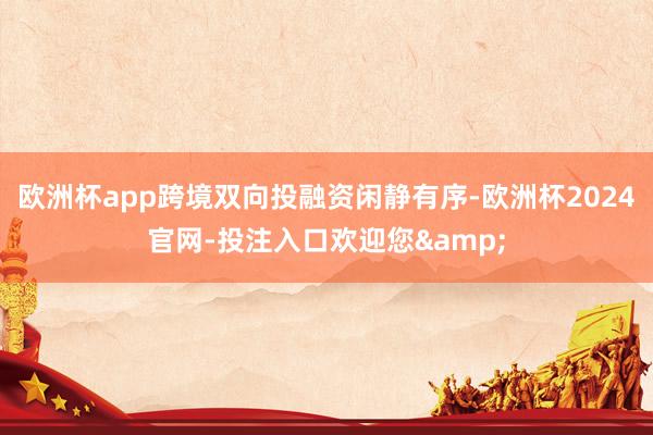 欧洲杯app跨境双向投融资闲静有序-欧洲杯2024官网-投注入口欢迎您&