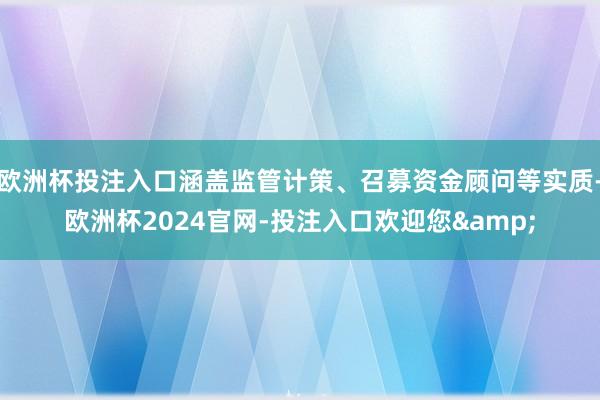欧洲杯投注入口涵盖监管计策、召募资金顾问等实质-欧洲杯2024官网-投注入口欢迎您&