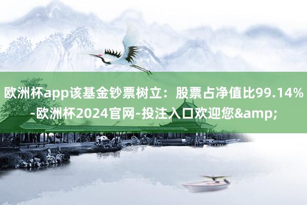 欧洲杯app该基金钞票树立:股票占净值比99.14%-欧洲杯2024官网-投注入口欢迎您&