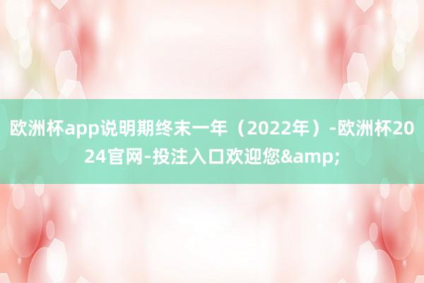 欧洲杯app说明期终末一年（2022年）-欧洲杯2024官网-投注入口欢迎您&