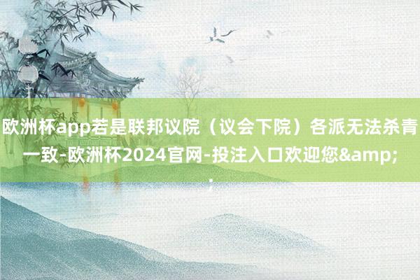 欧洲杯app若是联邦议院(议会下院)各派无法杀青一致-欧洲杯2024官网-投注入口欢迎您&