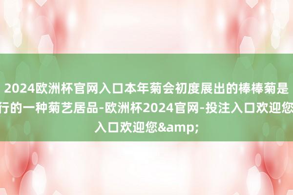 2024欧洲杯官网入口本年菊会初度展出的棒棒菊是时卑鄙行的一种菊艺居品-欧洲杯2024官网-投注入口欢迎您&