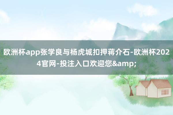 欧洲杯app张学良与杨虎城扣押蒋介石-欧洲杯2024官网-投注入口欢迎您&