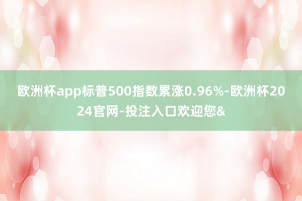 欧洲杯app标普500指数累涨0.96%-欧洲杯2024官网-投注入口欢迎您&