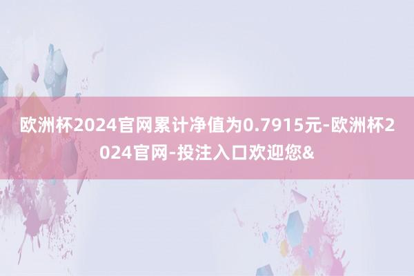 欧洲杯2024官网累计净值为0.7915元-欧洲杯2024官网-投注入口欢迎您&